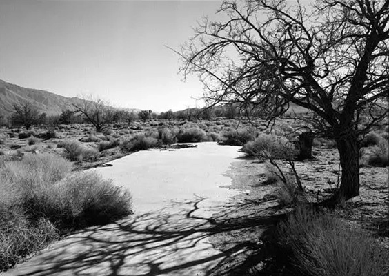 manzanar